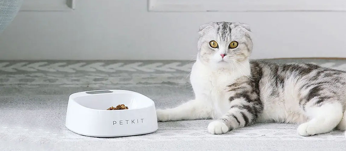 Миска-весы для животных Xiaomi PETKIT FRESH (P510) Миска-весы для животных Xiaomi PETKIT FRESH (P510)