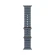Apple Watch Ultra 3 2025 MEWH4 49mm Natural Titanium  Anchor Blue Ocean Band  (Natural Titanium, Blue Ocean)