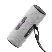 Яндекс Станция Стрит с Алисой  YNDX-00030 Серый