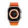 Умные часы Apple Watch Ultra 49 мм S MNHP3 Titanium Case, титановый/оранжевый Alpine Loop (Оранжевый)