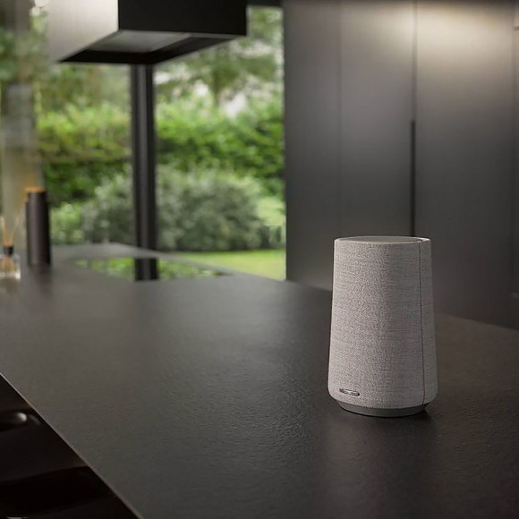 Портативная акустика Harman/Kardon Citation 100 (серый) Портативная акустика Harman/Kardon Citation 100 (серый)