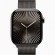 Умные часы Apple Watch Series 10 46mm/M/L MWYW3 Case Slate Titanium with Slate Milanese Loop  (Slate, Slate)