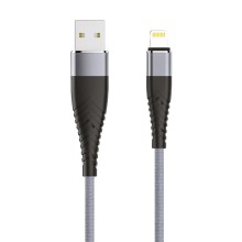 Lightning OLMIO SOLID 1,2м 2.1A титановый