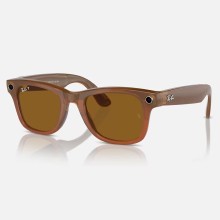 Солнцезащитные очки Ray-Ban Meta Wayfarer RW4008  67068353 — Shiny Caramel Polar Brown