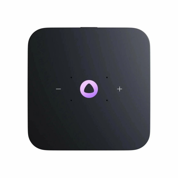 Умная колонка Яндекс Станция Миди YNDX-00054PNK (малиновый )