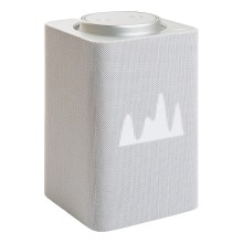 Умная колонка Яндекс.Станция Макс YNDX-0008W (серый)