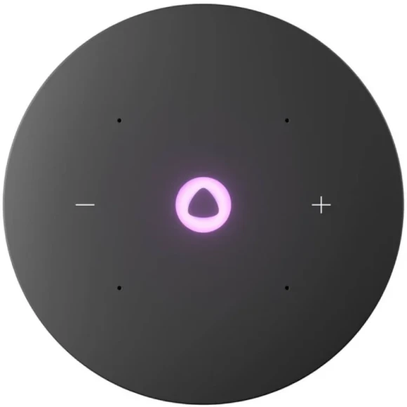 Умная колонка Яндекс Станция Мини 3 Про с Алисой с Zigbee чёрный