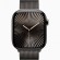Умные часы Apple Watch Series 10 42mm MX053 Case Slate Titanium with Slate Milanese Loop (Slate, Slate)