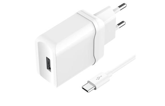 СЗУ OLMIO 2.4A micro USB+кабель