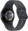 Часы Samsung Galaxy Watch 5 40mm (SM-R900) (Графитовый)