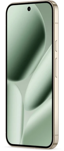 Google Pixel 10 Pro XL 5G 16/256Gb Нефритовый
