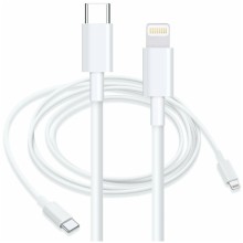 Lightning 1m