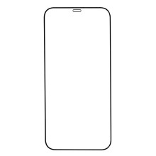 Стекло Apple iPhone 12 Pro Max Rinbo 5D черный