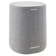 Портативная акустика Harman/Kardon Citation One  (серый)