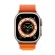 Умные часы Apple Watch Ultra 49 мм S MNHA3 Titanium Case, титановый/оранжевый Alpine Loop (Оранжевый)