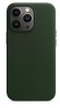 Чехол-накладка для iPhone 13 Pro Max Leather Case MagSafe зеленый