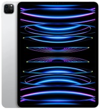 iPad Pro 11 256GB Wi-Fi+ Cellular Silver (MP583) (Серебристый)