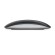 Мышь Apple Magic  (USB-C, 2024)   Black (MXK63) (Black)