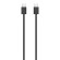 Мышь Apple Magic  (USB-C, 2024)   Black (MXK63) (Black)