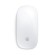 Мышь Apple Magic  (USB-C, 2024)   White (MXK53) (White)