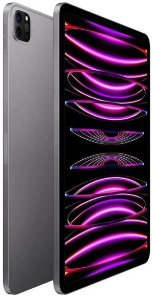 Планшет Apple iPad Pro 12,9 M2 256Gb Wi-Fi + Cellular Space Gray  (Space Gray)