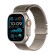 Умные часы Apple Apple Watch Ultra 2 2024 MX5T3 49mm Natural Titanium Case with Natural Titanium Milanese Loop Large  (Natural Titanium, Natural Titanium)