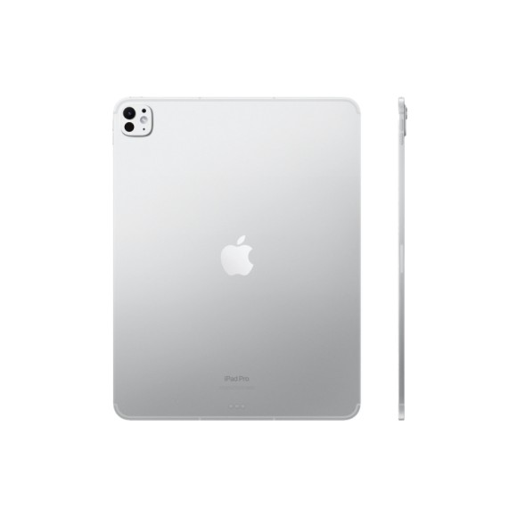 iPad Pro 11 Wi-Fi M5 256Gb Silver (MDWL4) (2025) (без RuStore) (Silver)
