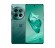 Смартфон OnePlus 12 CPH2573 12/256Gb EUR (Изумрудный)