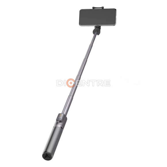 Трипод/монопод Remax RL-EP03 черный Трипод/монопод Remax RL-EP03 черный