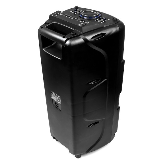 Портативная акустика SmartBuy ARISAKA (SBS-570)